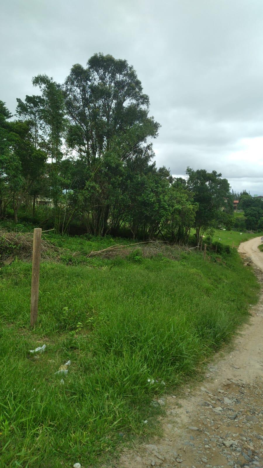 Terreno 450 m com matricula individual — foto 3