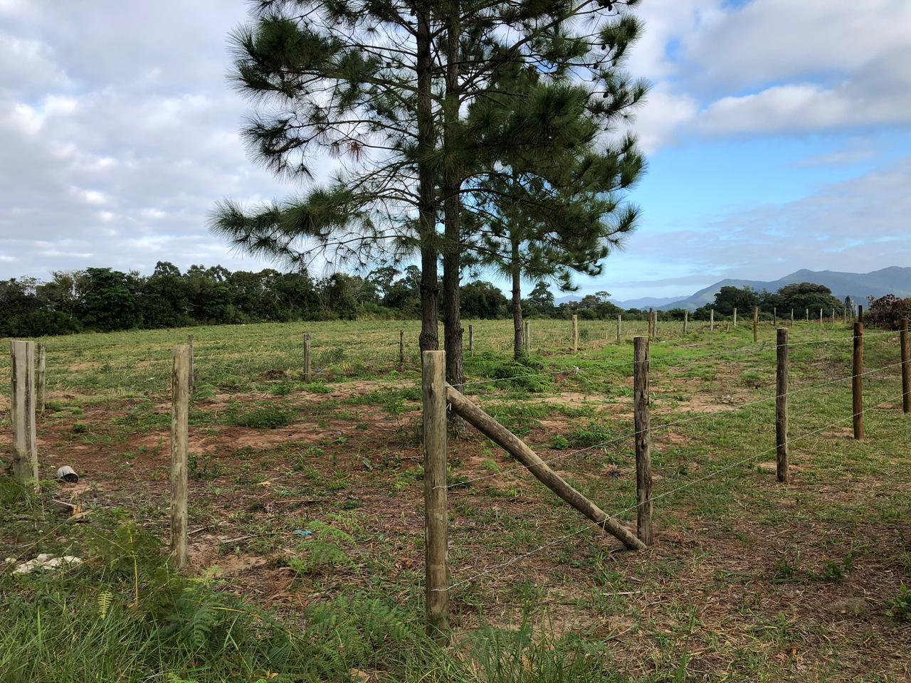 Terreno a venda na praia do rosa — foto 3