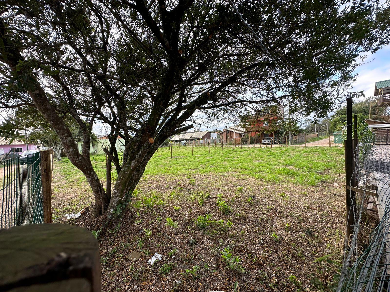 Terreno a venda na praia do rosa — foto 5
