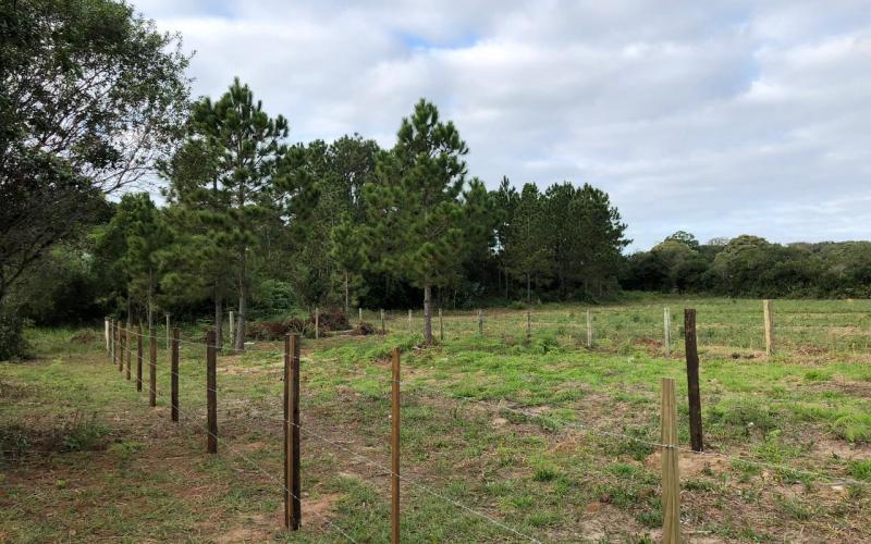 Terreno a venda na praia do rosa — foto 6