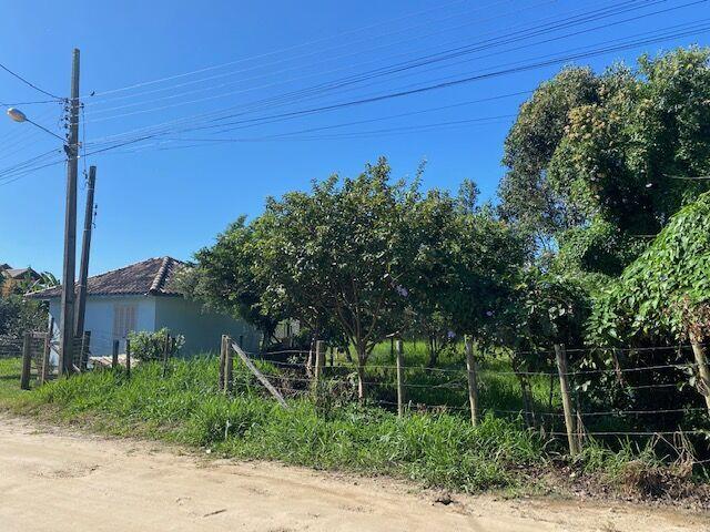 Terre bem Localizado no Rosa — foto 1