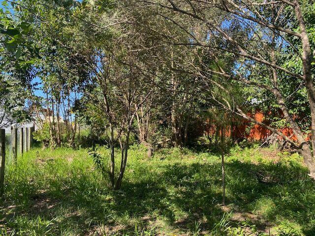Terre bem Localizado no Rosa — foto 3