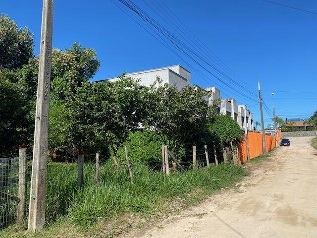 Terre bem Localizado no Rosa — foto 4