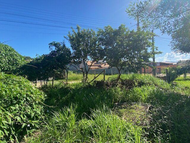 Terre bem Localizado no Rosa — foto 5