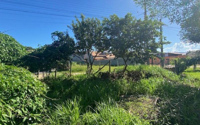Terre bem Localizado no Rosa — foto 6