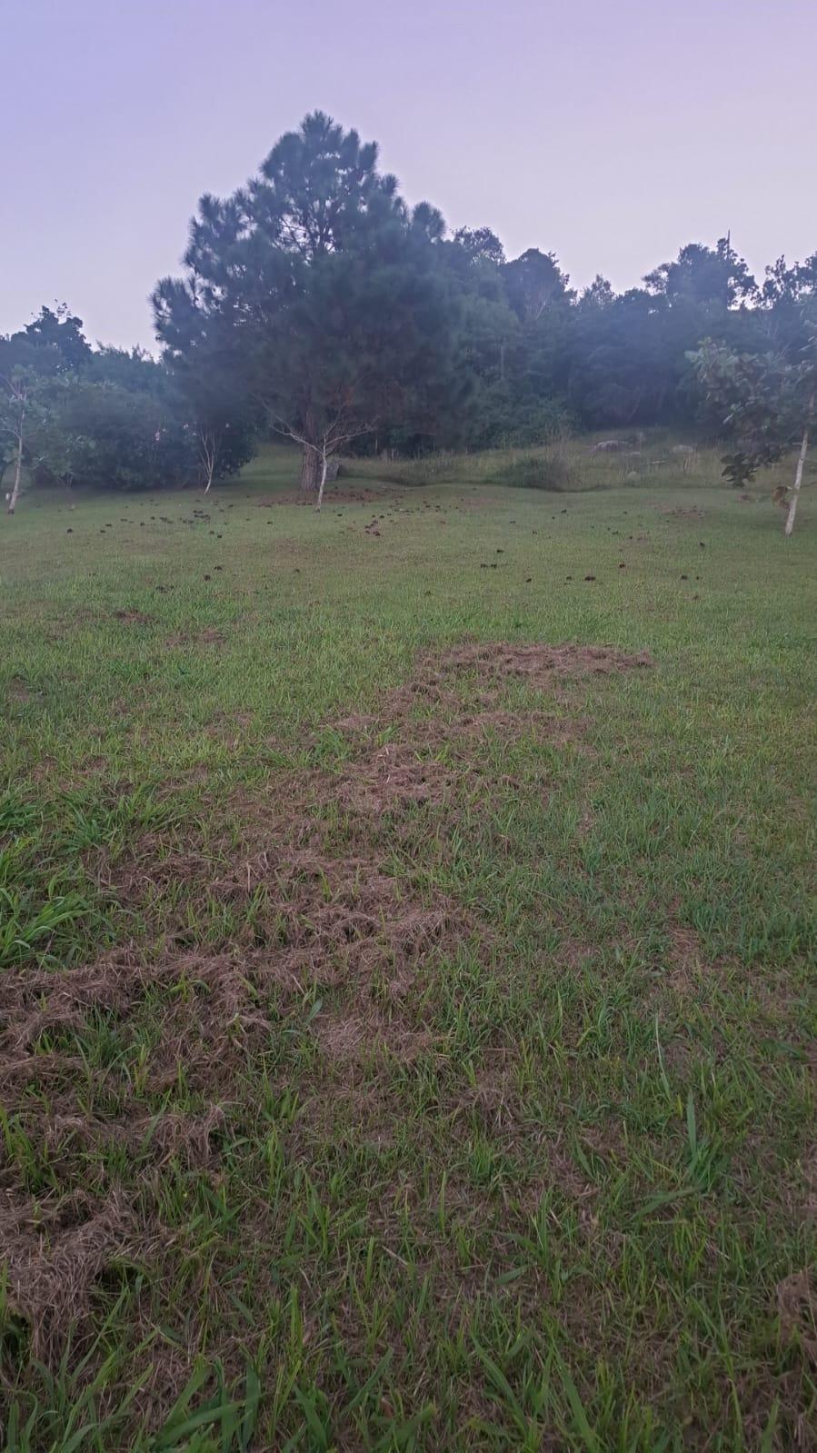 Melhor terreno de Garopaba — foto 5