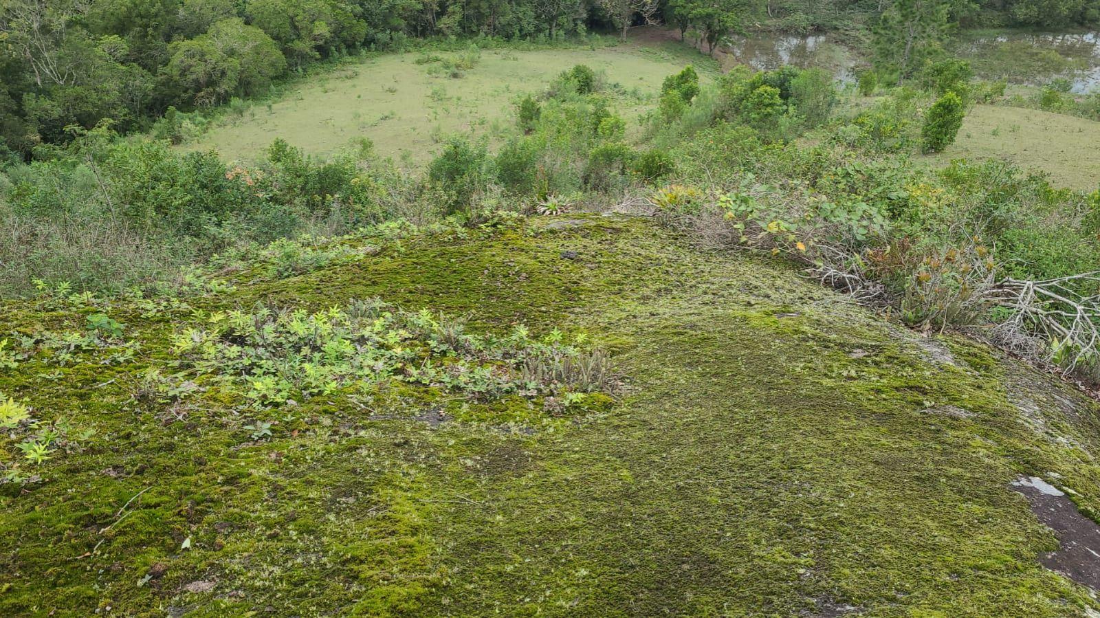 Terreno Arassatuba — foto 1