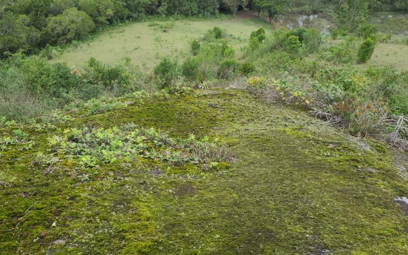 Terreno Arassatuba — foto 3