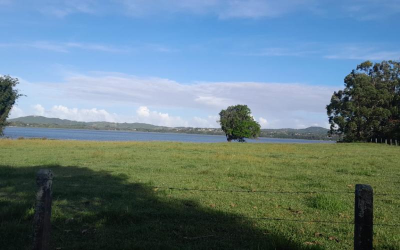 Terreno Frente Lagoa — foto 4