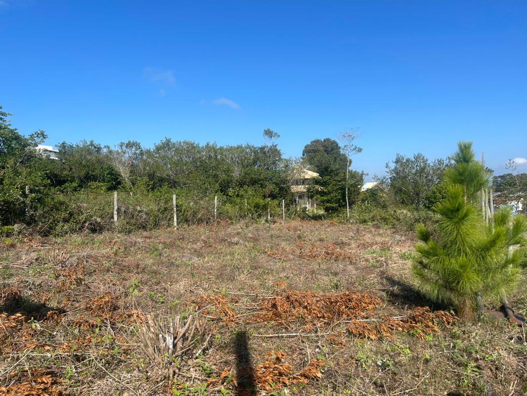 Terreno com matrícula no Rosa — foto 3