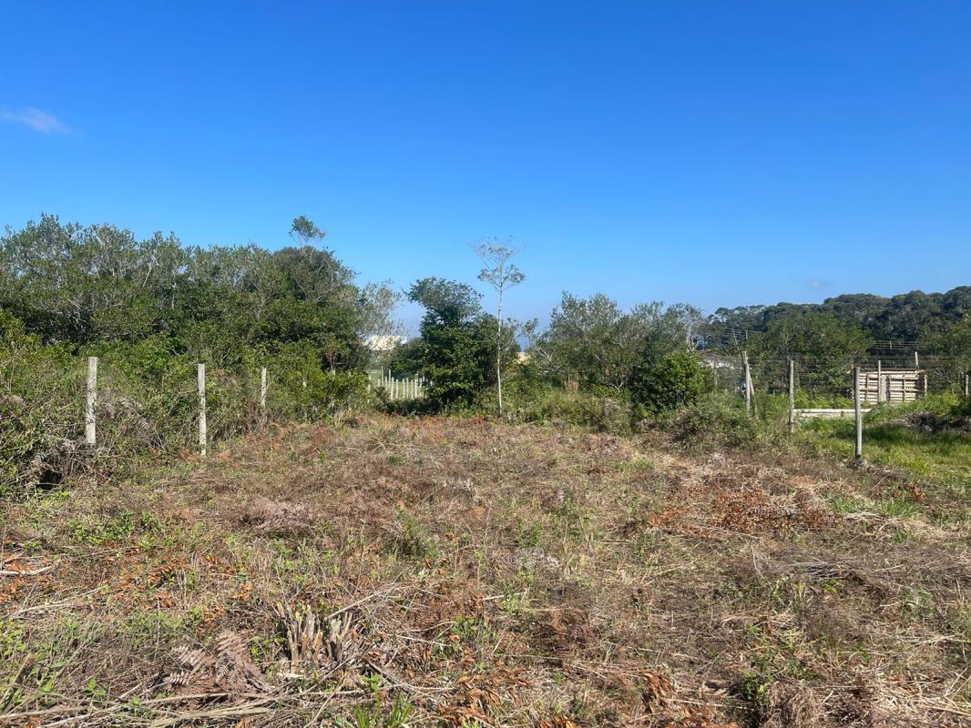 Terreno com matrícula no Rosa — foto 4