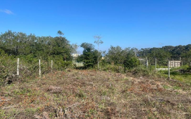 Terreno com matrícula no Rosa — foto 5