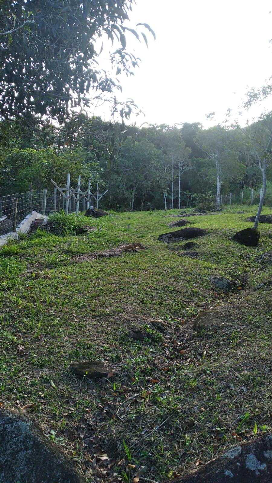 Terreno com vista total em Garopaba — foto 3