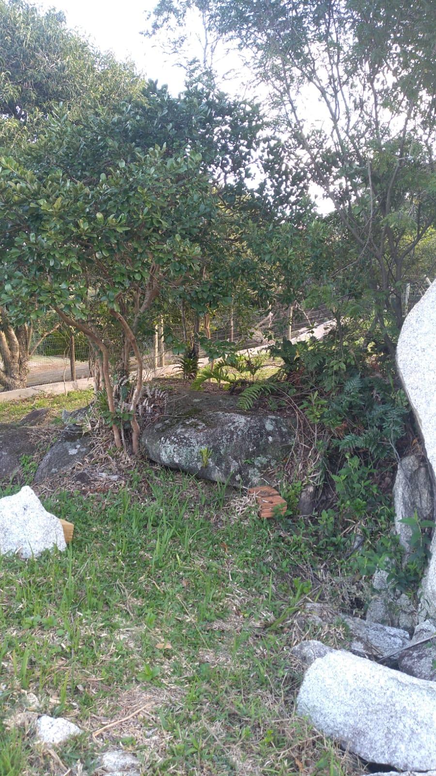 Terreno com vista total em Garopaba — foto 6