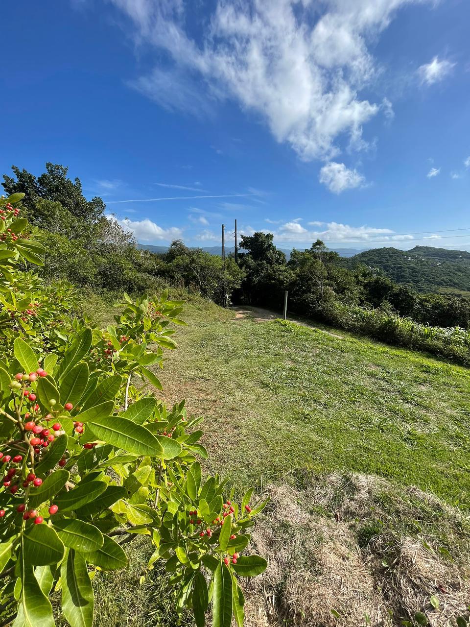 Terreno Vista Mar na Praia da Silveira — foto 6