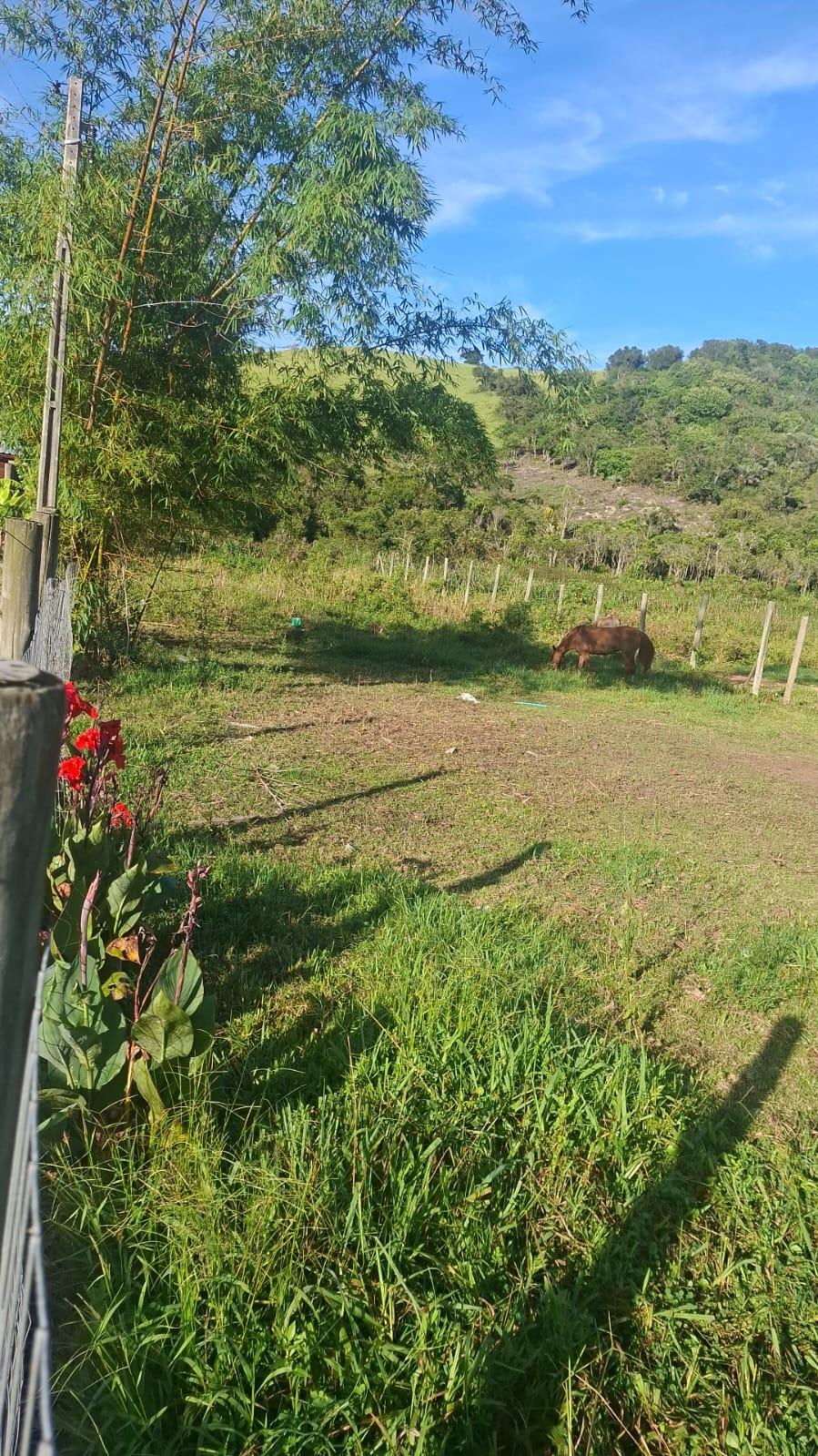 Terreno no rosa — foto 1