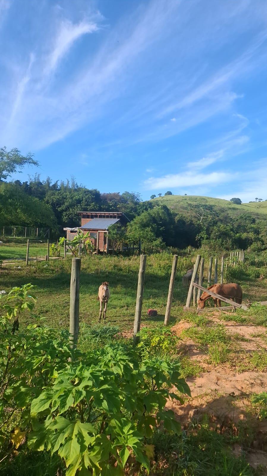 Terreno no rosa — foto 3