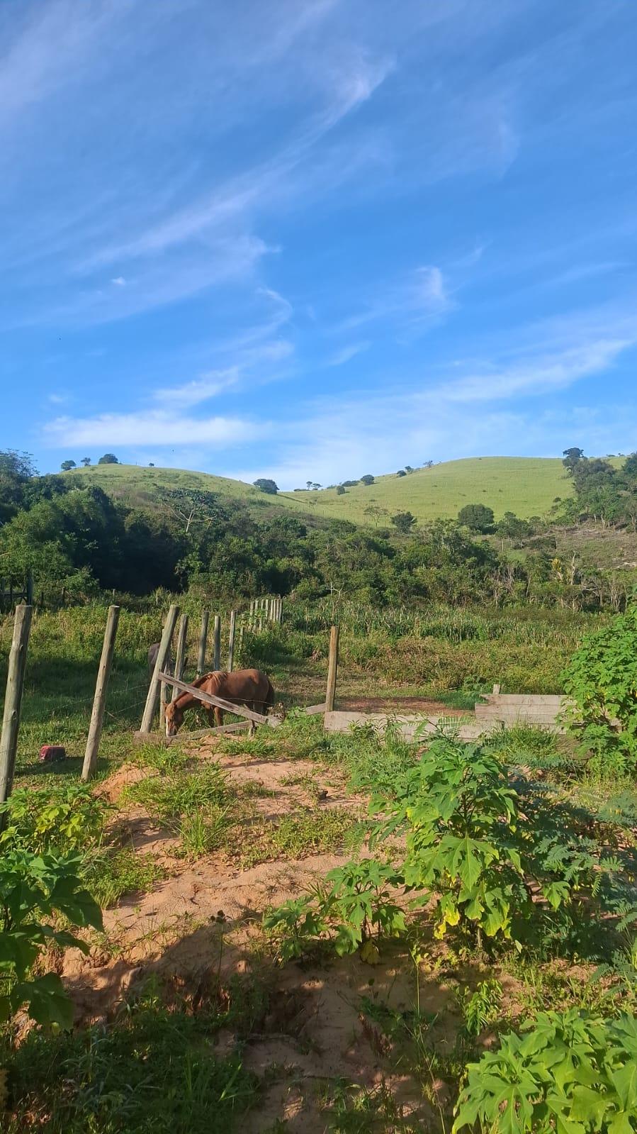 Terreno no rosa — foto 4