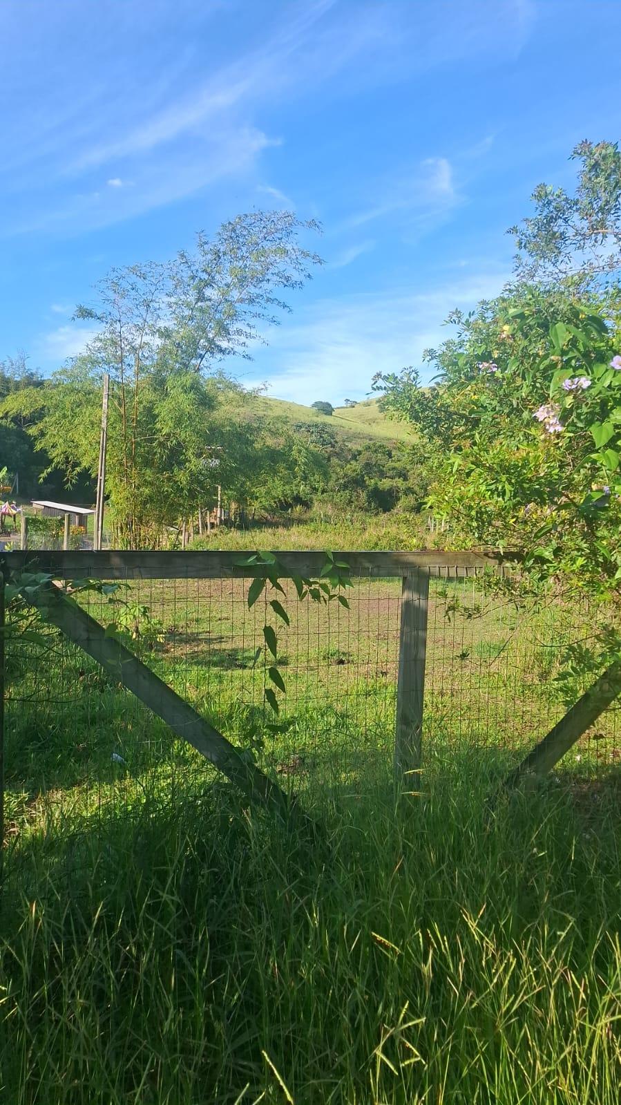 Terreno no rosa — foto 5
