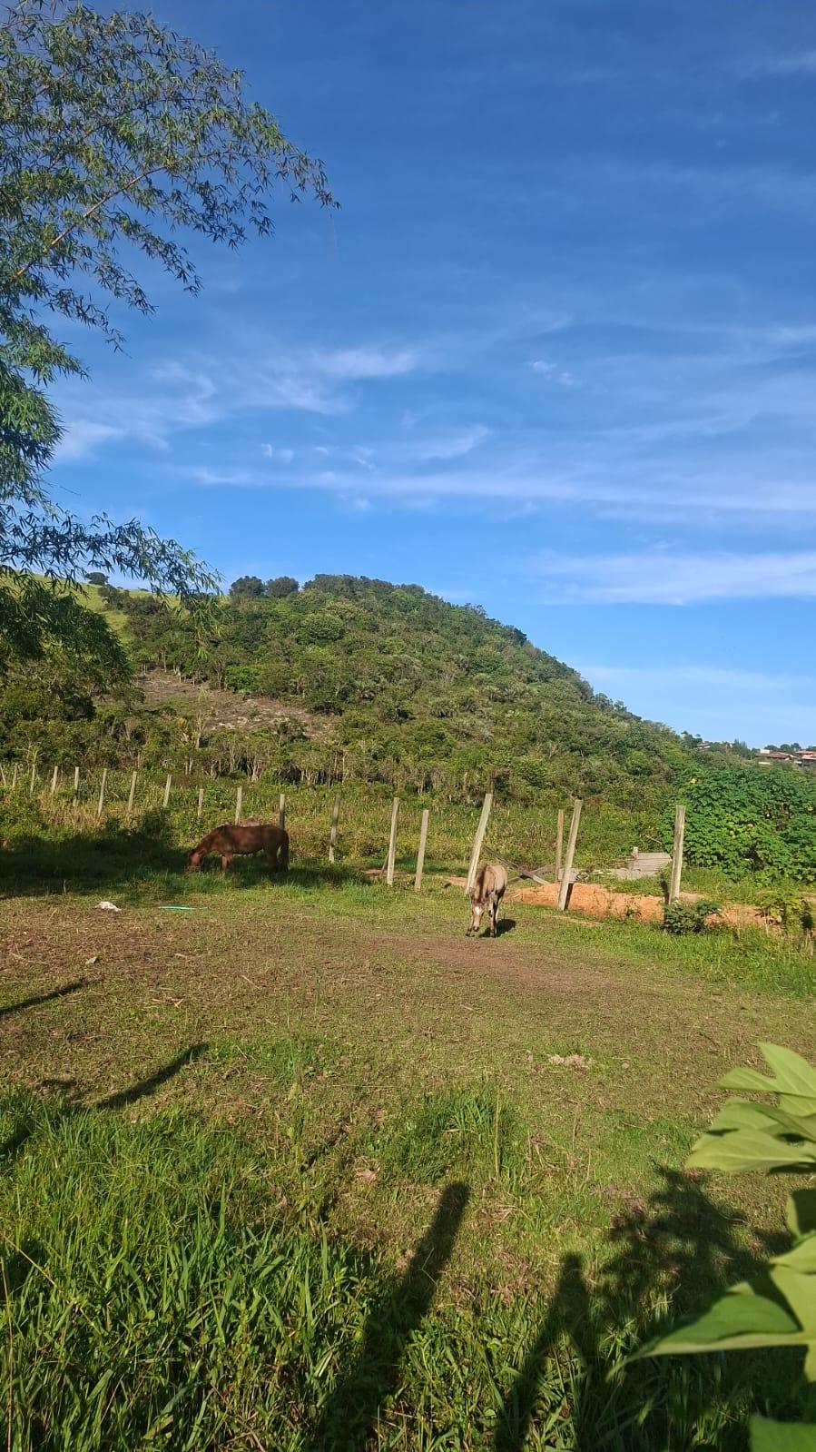 Terreno no rosa — foto 6