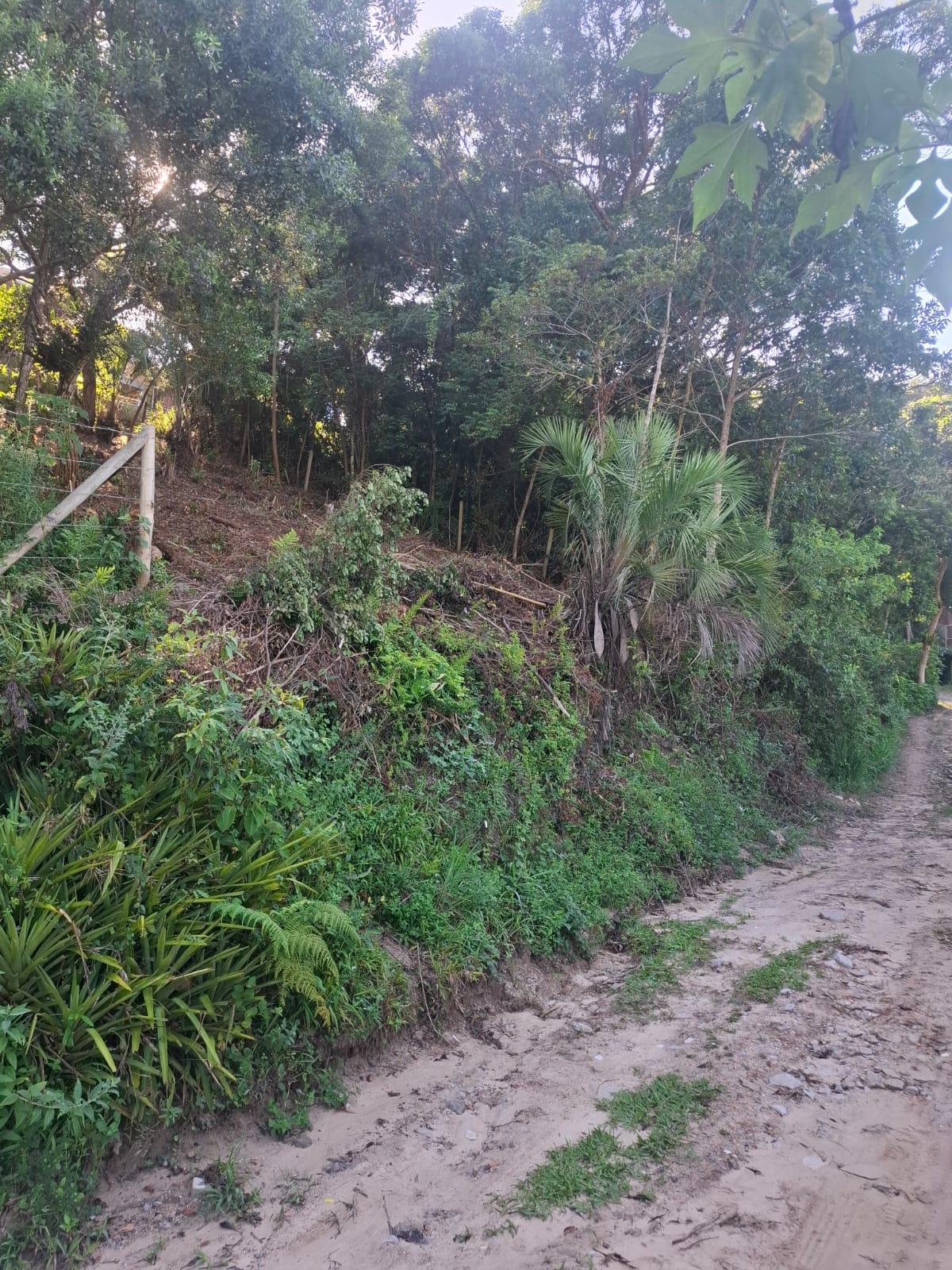 Terreno Charmoso No Rosa — foto 3