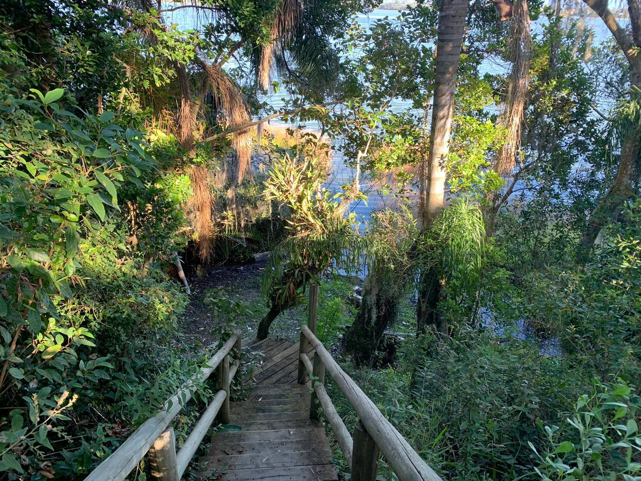 Terreno beira de lagoa — foto 4