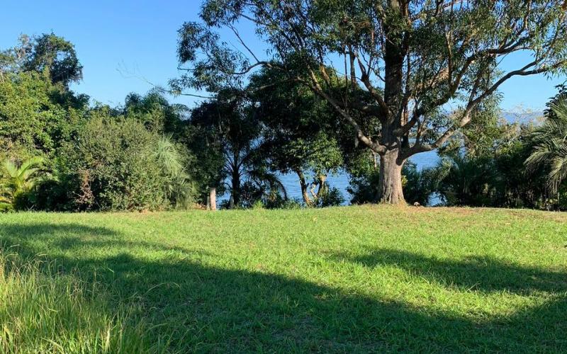 Terreno beira de lagoa — foto 6