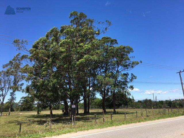 Àrea p loteamento beira de lagoa. — foto 4