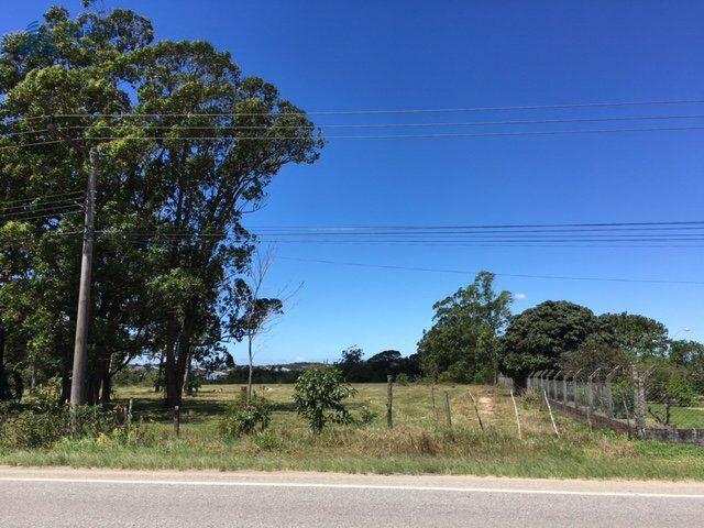 Àrea p loteamento beira de lagoa. — foto 5