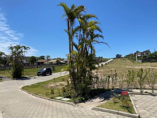 Terreno em condomínio no Rosa — foto 6