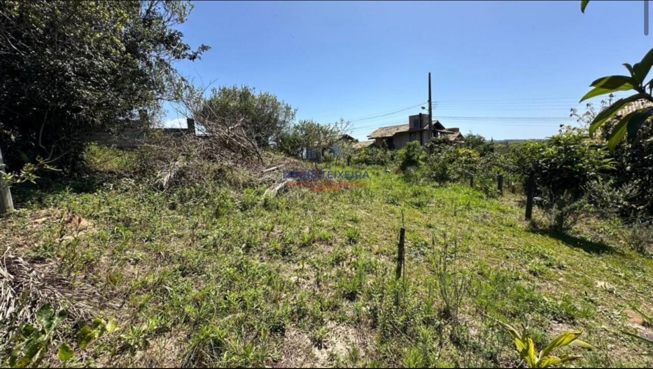 Terreno no Rosa — foto 1