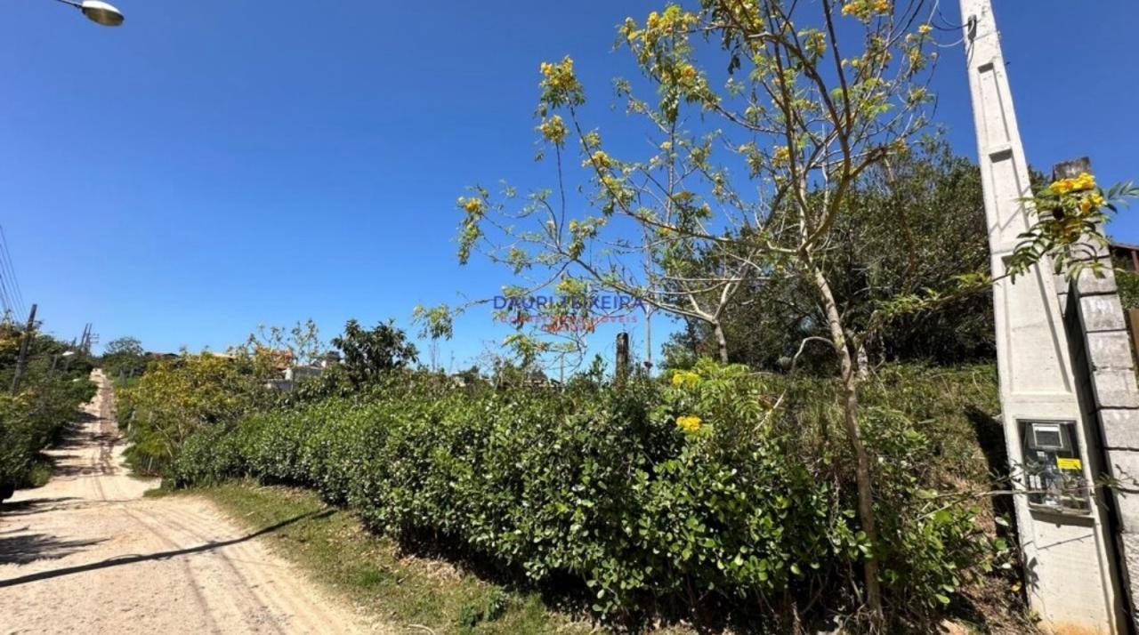 Terreno no Rosa — foto 3