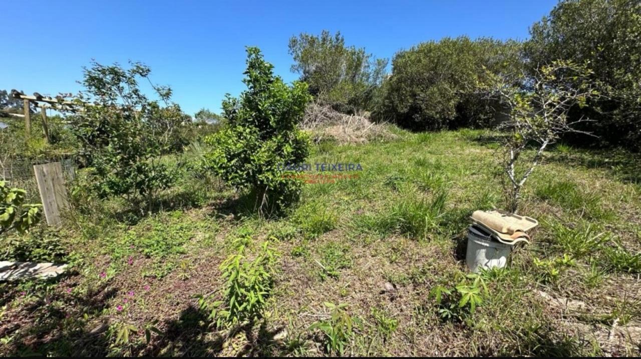 Terreno no Rosa — foto 4