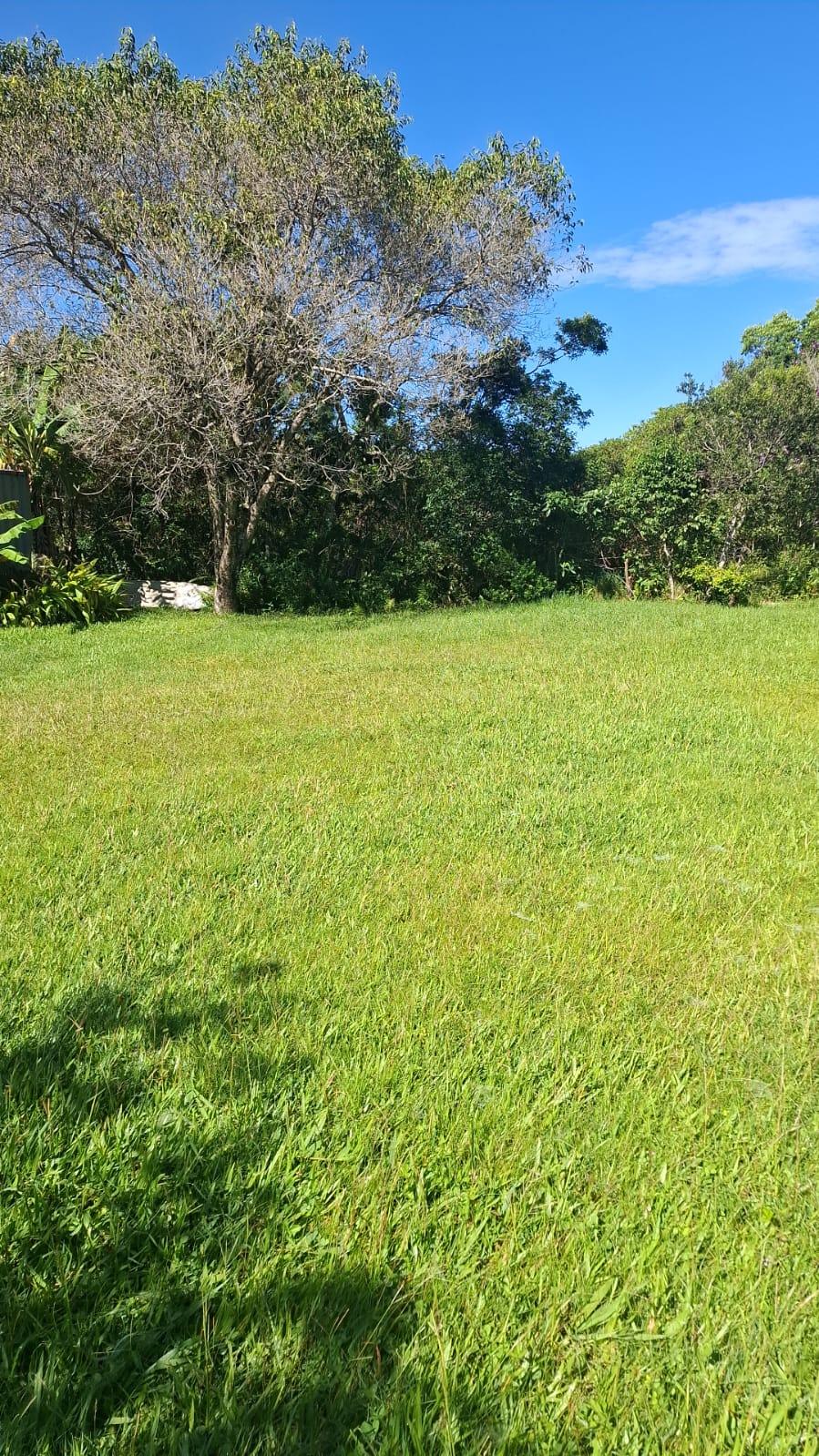 Terreno beira de Lagoa — foto 4