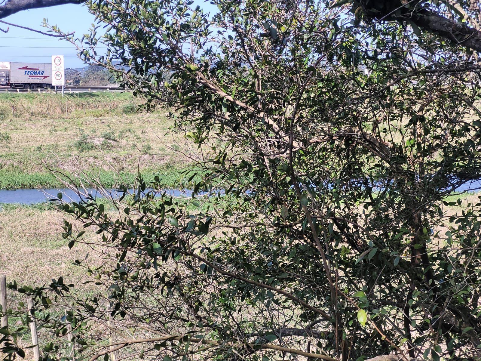 Sitio próximo a tudo — foto 4