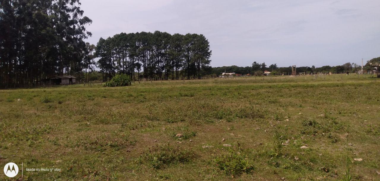 Area com 12mil metros no campo duna. — foto 4