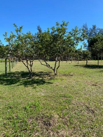 Terreno na praia do Rosa — foto 1