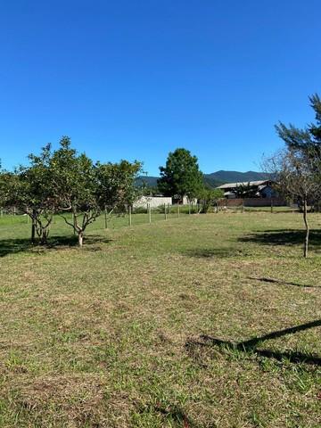 Terreno na praia do Rosa — foto 3