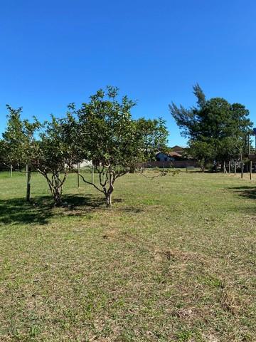 Terreno na praia do Rosa — foto 5