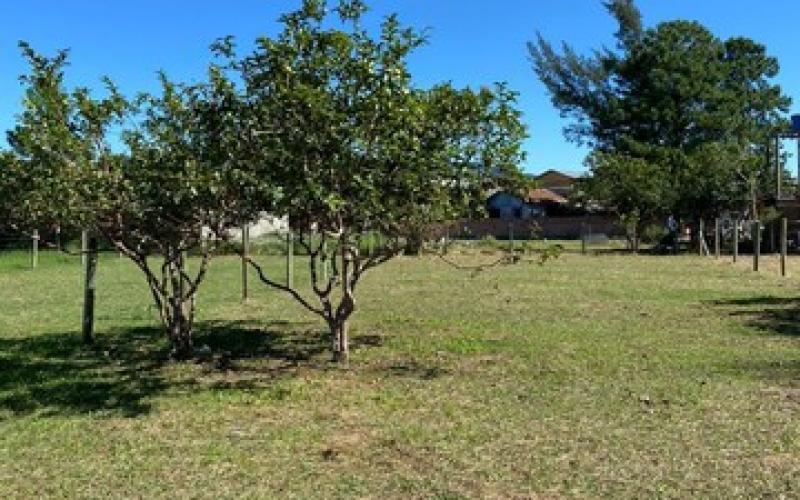 Terreno na praia do Rosa — foto 6