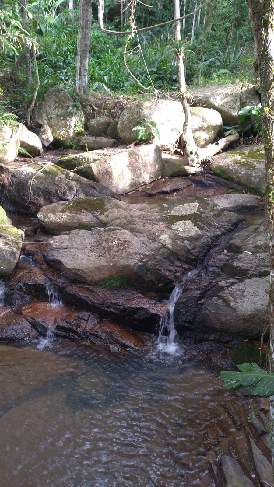 Sitio com cachoeira , vista e matricula — foto 1