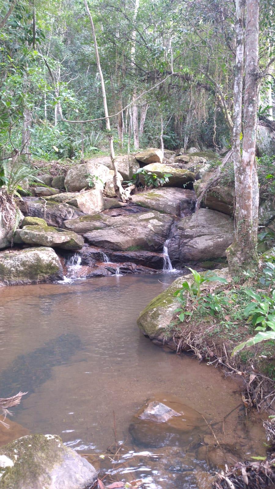 Sitio com cachoeira , vista e matricula — foto 3