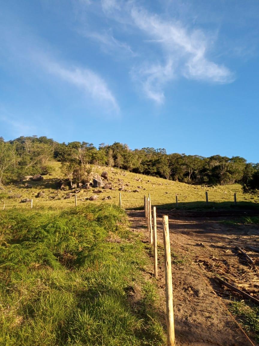 Terreno No Siriu — foto 1