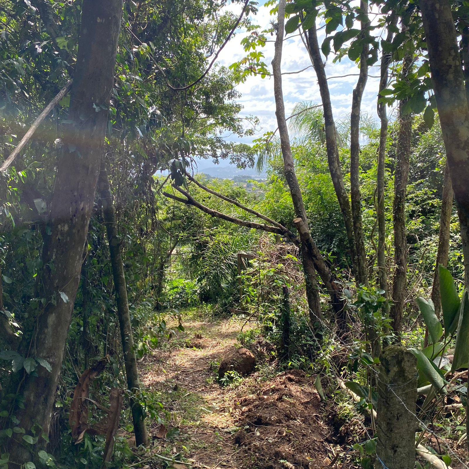 Terreno Enorme com vista incrível — foto 6