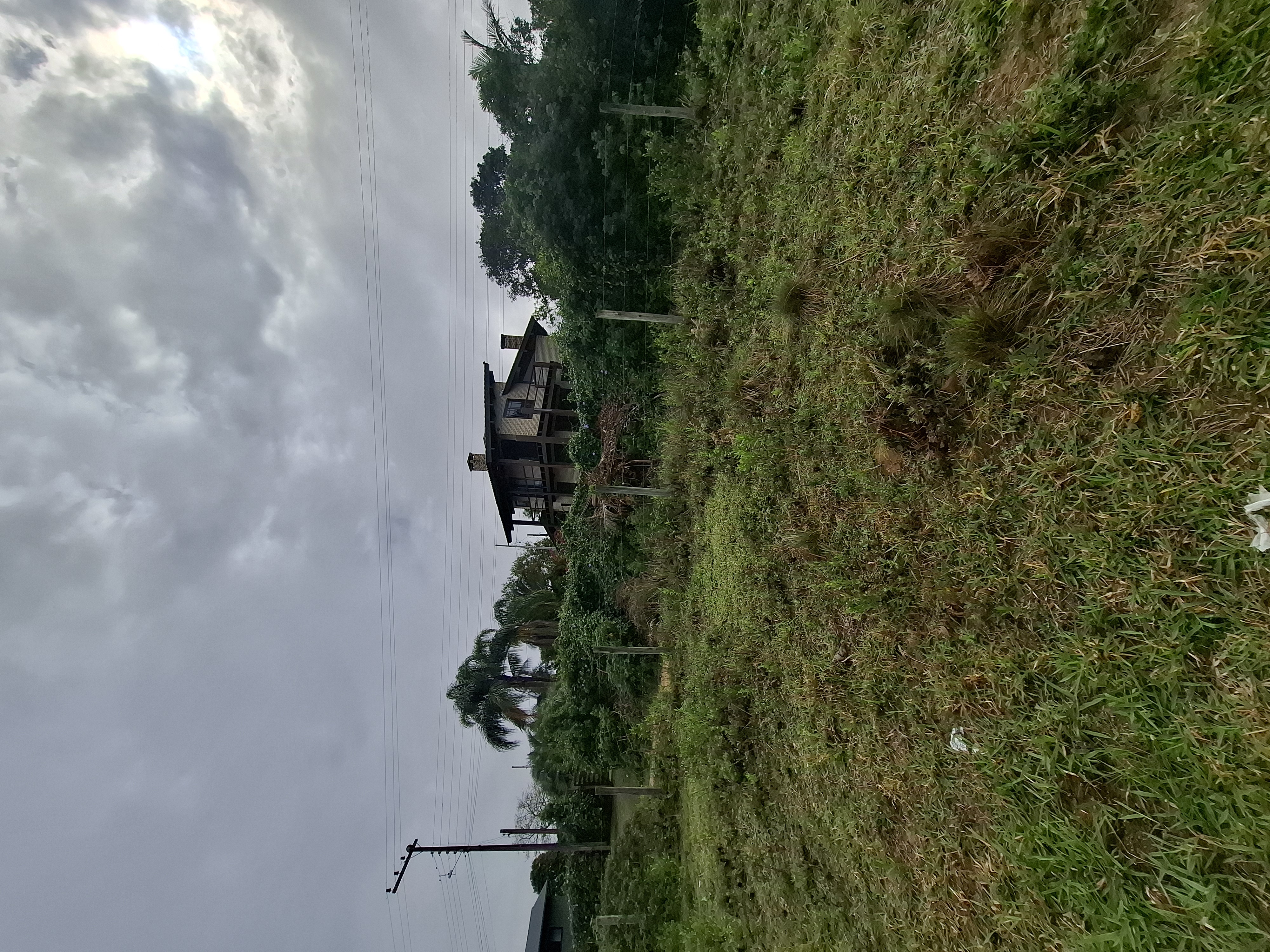 Terreno alto no Rosa — foto 1
