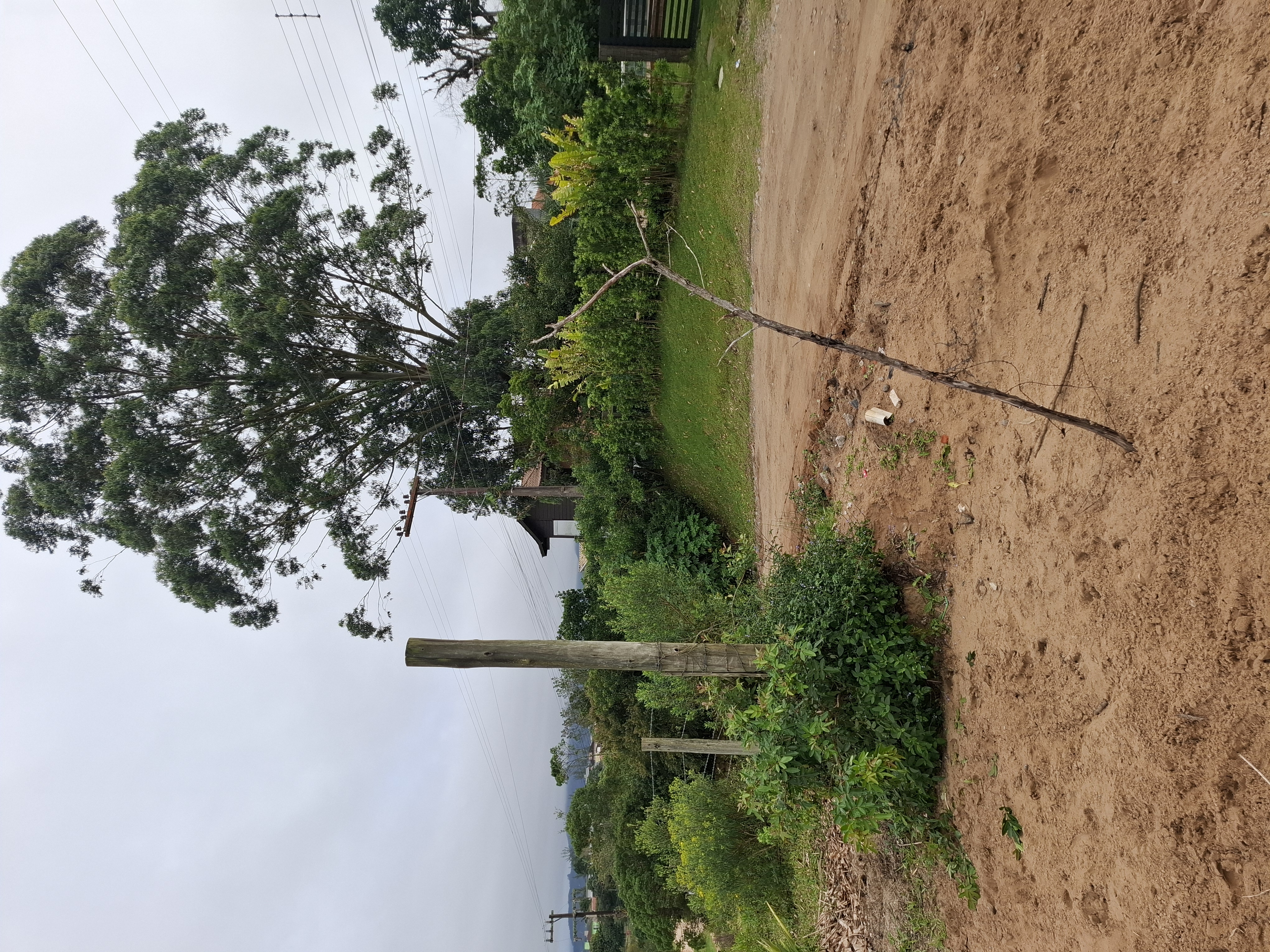 Terreno alto no Rosa — foto 4