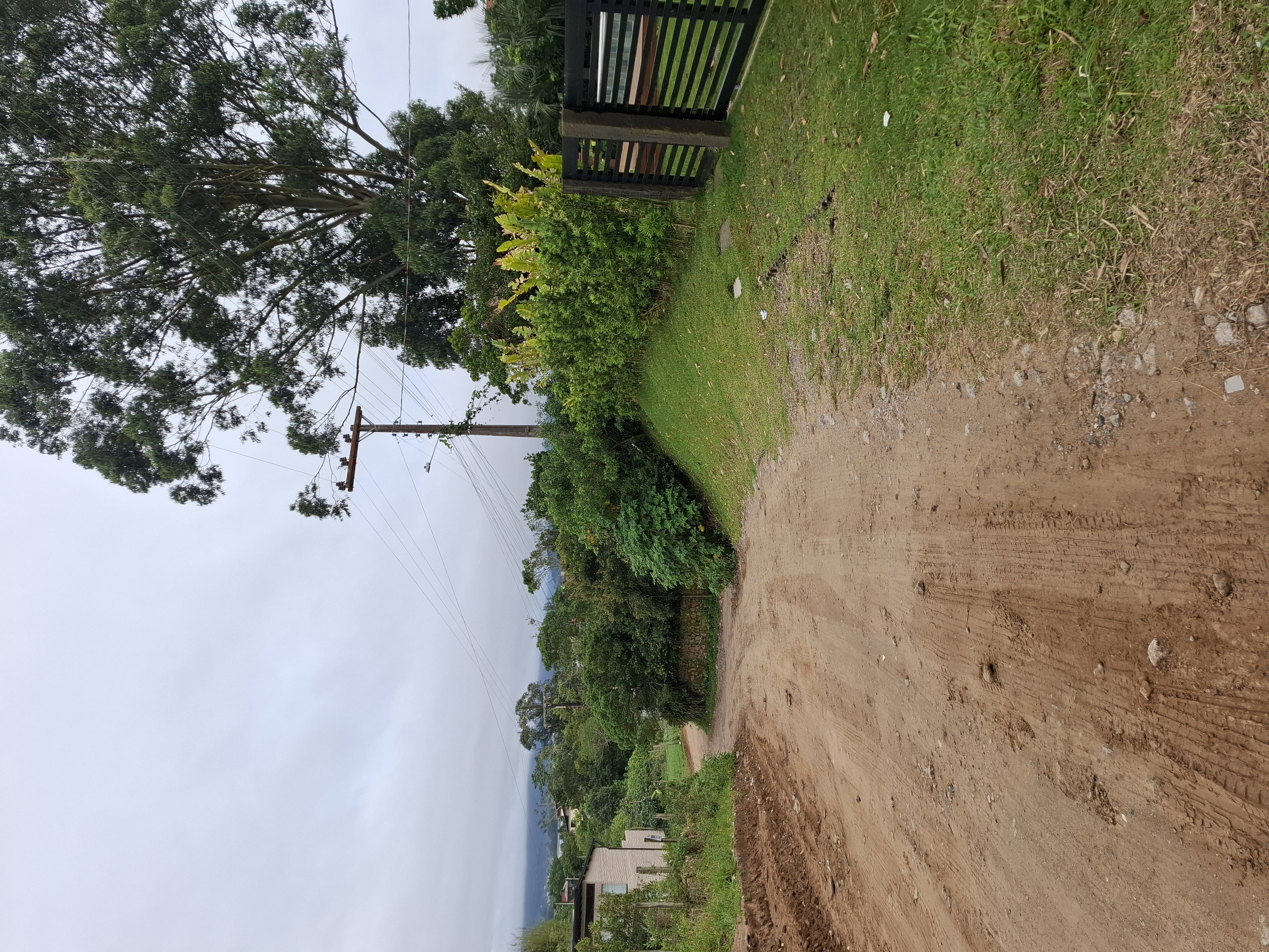 Terreno alto no Rosa — foto 5