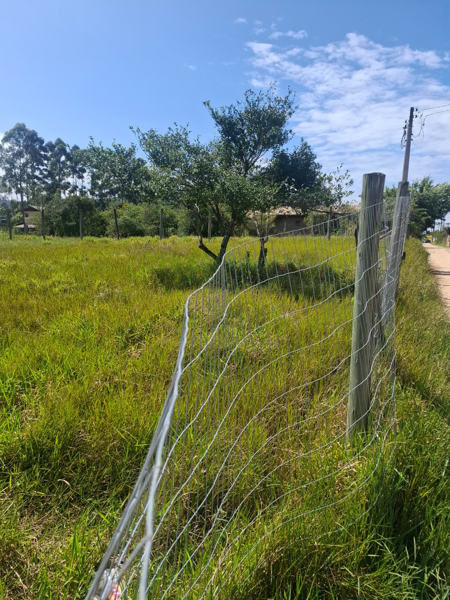 Terreno ibiraquera luz ligada — foto 3