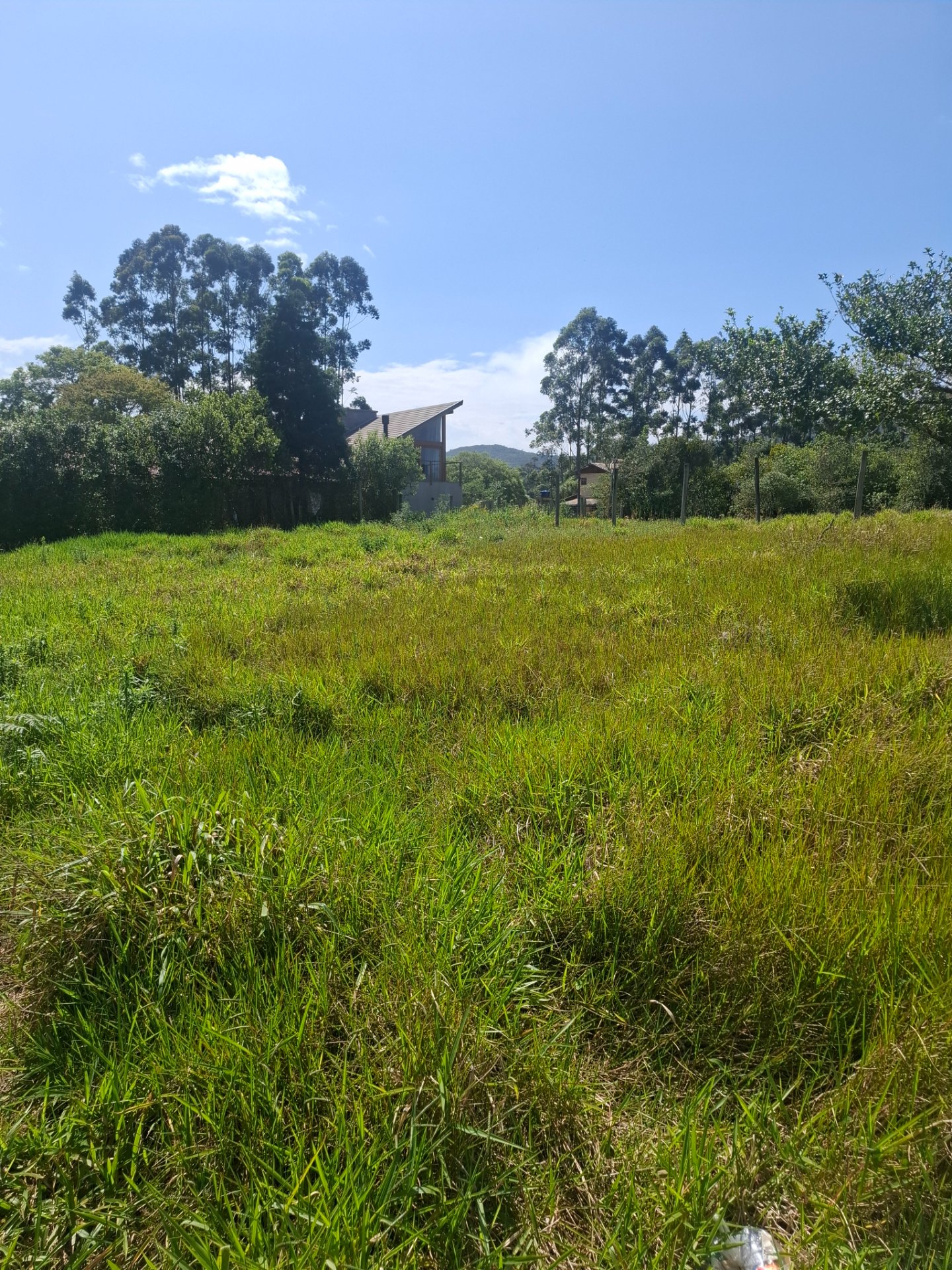 Terreno ibiraquera luz ligada — foto 4
