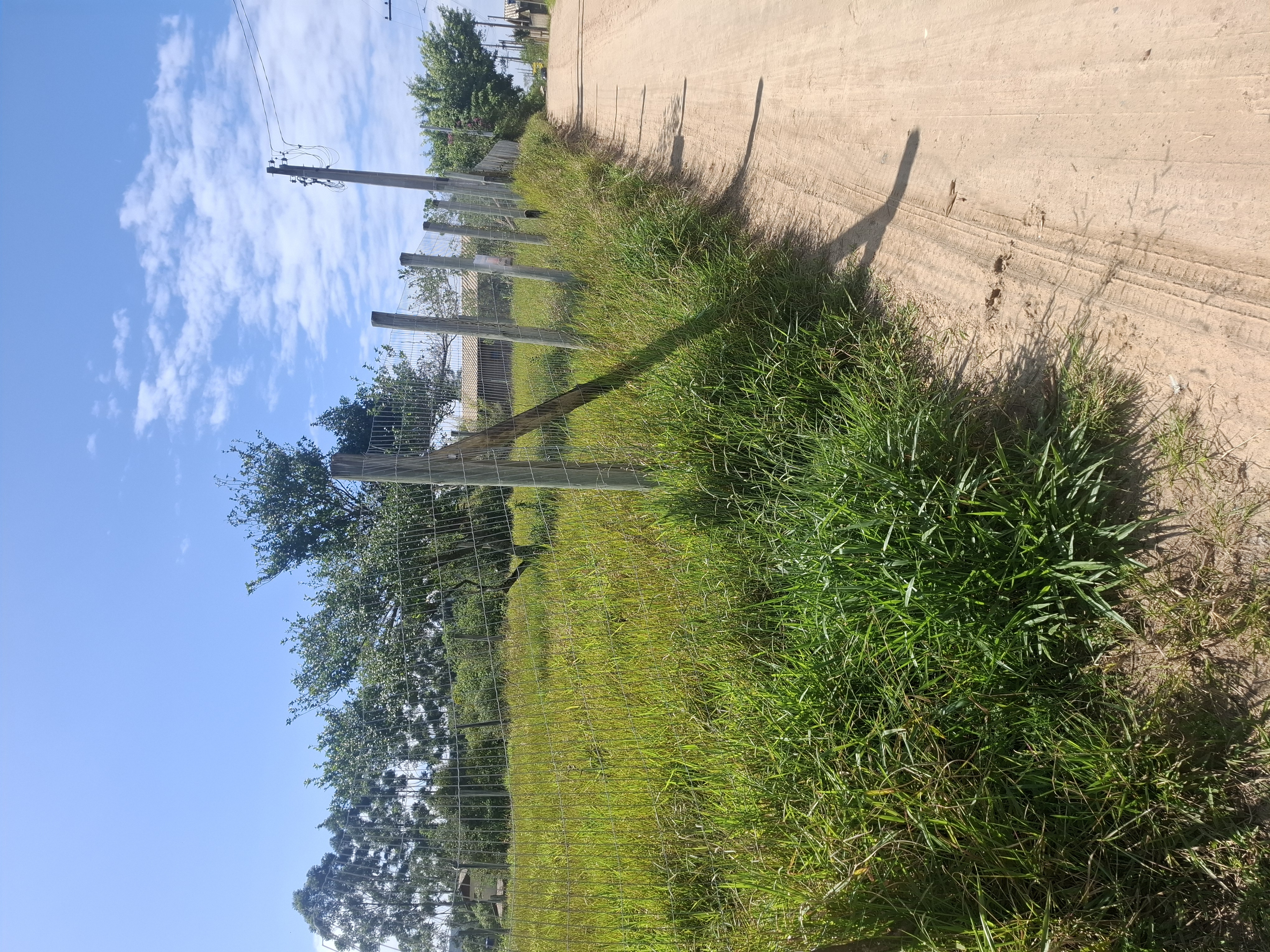 Terreno ibiraquera luz ligada — foto 5
